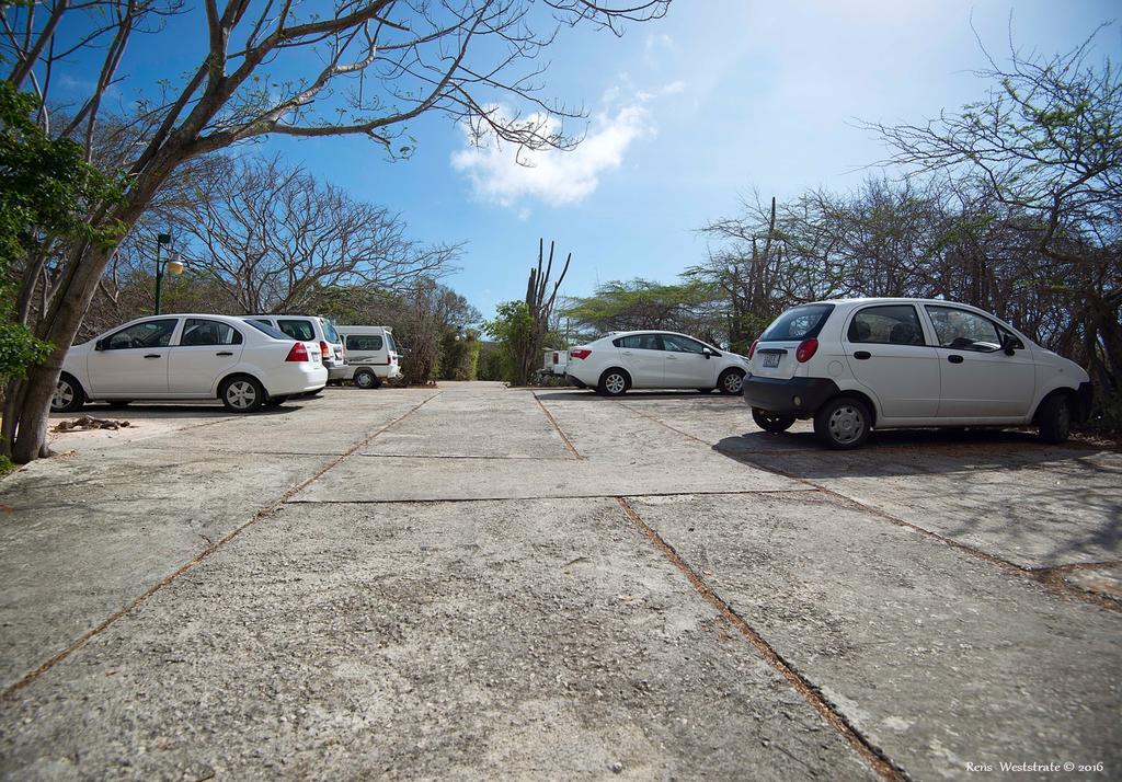 Apartament Flamingo Park Curacao Willibrordus Zewnętrze zdjęcie