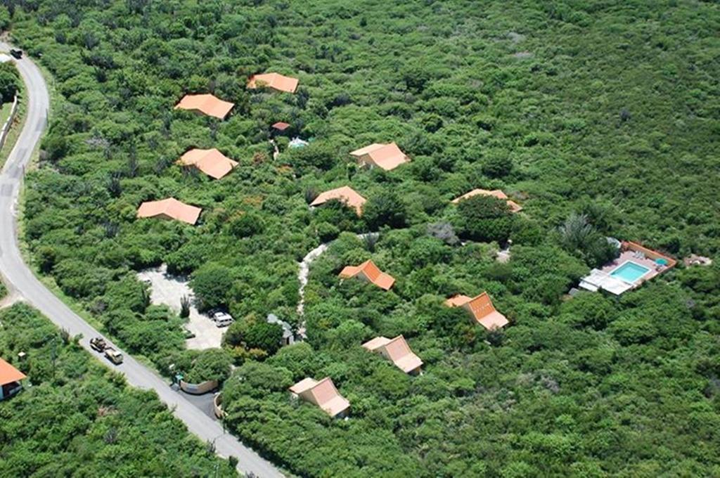 Apartament Flamingo Park Curacao Willibrordus Zewnętrze zdjęcie